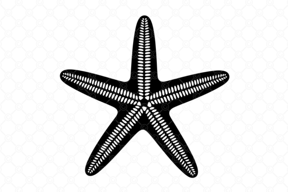 Starfish SVG, Starfish Silhouette, 032 Review