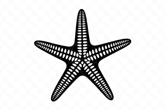 Starfish SVG, Starfish Silhouette, 034: A Designer's Real-World Review